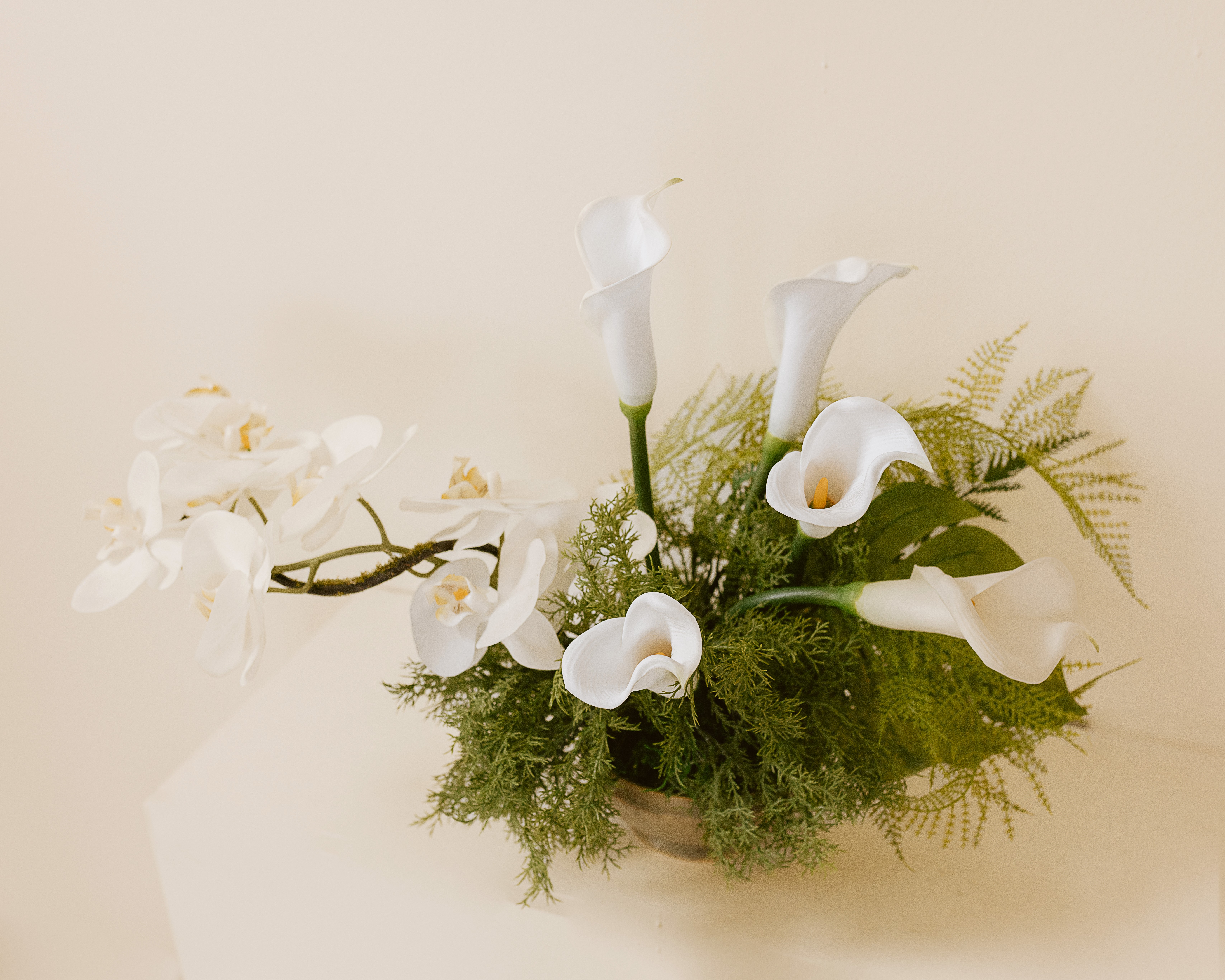 Conservatory floral collection featuring lush greenery and immersive botanical arrangements